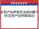 甘孜产后修复手法培训哪个好(甘孜产后修复培训)