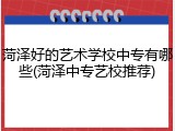 菏泽好的艺术学校中专有哪些(菏泽中专艺校推荐)