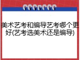 美术艺考和编导艺考哪个更好(艺考选美术还是编导)