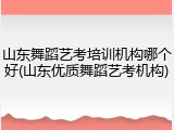 山东舞蹈艺考培训机构哪个好(山东优质舞蹈艺考机构)