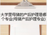 大学里母猪的产后护理是哪个专业(母猪产后护理专业)