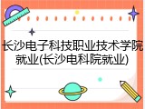 长沙电子科技职业技术学院就业(长沙电科院就业)