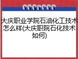 大庆职业学院石油化工技术怎么样(大庆职院石化技术如何)