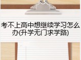 考不上高中想继续学习怎么办(升学无门求学路)