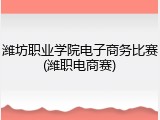 潍坊职业学院电子商务比赛(潍职电商赛)