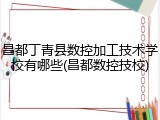 昌都丁青县数控加工技术学校有哪些(昌都数控技校)