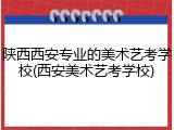 陕西西安专业的美术艺考学校(西安美术艺考学校)