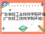 广东省轻工业技师学院环境(广东轻工技师学院环境)