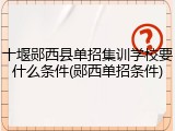 十堰郧西县单招集训学校要什么条件(郧西单招条件)