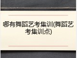 哪有舞蹈艺考集训(舞蹈艺考集训点)