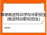常德叛逆特训学校中职招生(叛逆特训职校招生)