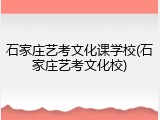 石家庄艺考文化课学校(石家庄艺考文化校)