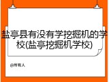 盐亭县有没有学挖掘机的学校(盐亭挖掘机学校)
