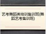艺考舞蹈类培训集训班(舞蹈艺考集训班)
