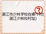 湛江市少林学校在哪个村(湛江少林校村址)