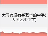 大同有没有学艺术的中学(大同艺术中学)