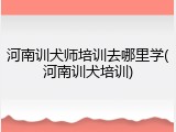 河南训犬师培训去哪里学(河南训犬培训)