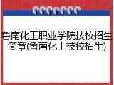 鲁南化工职业学院技校招生简章(鲁南化工技校招生)