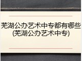 芜湖公办艺术中专都有哪些(芜湖公办艺术中专)