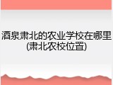酒泉肃北的农业学校在哪里(肃北农校位置)