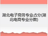 湖北电子商务专业占分(湖北电商专业分数)