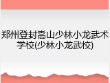 郑州登封嵩山少林小龙武术学校(少林小龙武校)