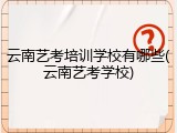 云南艺考培训学校有哪些(云南艺考学校)