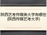 陕西艺考传媒类大学有哪些(陕西传媒艺考大学)