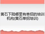 黄石下陆哪里有单招的培训机构(黄石单招培训)