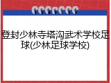 登封少林寺塔沟武术学校足球(少林足球学校)