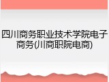 四川商务职业技术学院电子商务(川商职院电商)