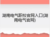 湖南电气职校官网入口(湖南电气官网)