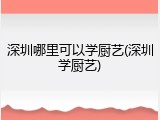 深圳哪里可以学厨艺(深圳学厨艺)