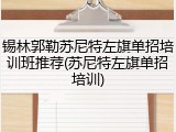 锡林郭勒苏尼特左旗单招培训班推荐(苏尼特左旗单招培训)