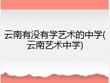 云南有没有学艺术的中学(云南艺术中学)