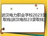 武汉电力职业学校2023录取线(武汉电校23录取线)