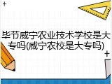 毕节威宁农业技术学校是大专吗(威宁农校是大专吗)