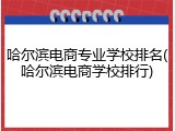 哈尔滨电商专业学校排名(哈尔滨电商学校排行)
