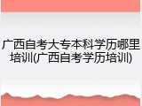 广西自考大专本科学历哪里培训(广西自考学历培训)