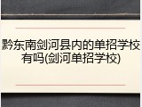 黔东南剑河县内的单招学校有吗(剑河单招学校)