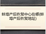 蚌埠产后恢复中心在哪(蚌埠产后恢复地址)
