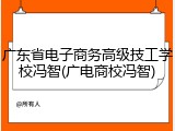 广东省电子商务高级技工学校冯智(广电商校冯智)