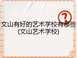 文山有好的艺术学校有哪些(文山艺术学校)