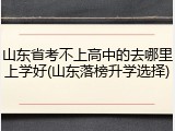 山东省考不上高中的去哪里上学好(山东落榜升学选择)