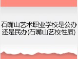 石嘴山艺术职业学校是公办还是民办(石嘴山艺校性质)