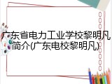 广东省电力工业学校黎明凡简介(广东电校黎明凡)