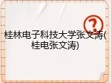 桂林电子科技大学张文涛(桂电张文涛)