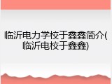 临沂电力学校于鑫鑫简介(临沂电校于鑫鑫)