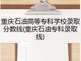 重庆石油高等专科学校录取分数线(重庆石油专科录取线)