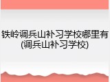 铁岭调兵山补习学校哪里有(调兵山补习学校)